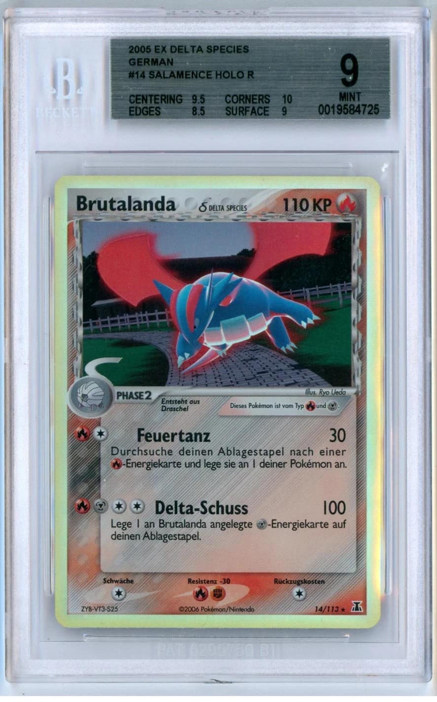 Salamence Holo R
