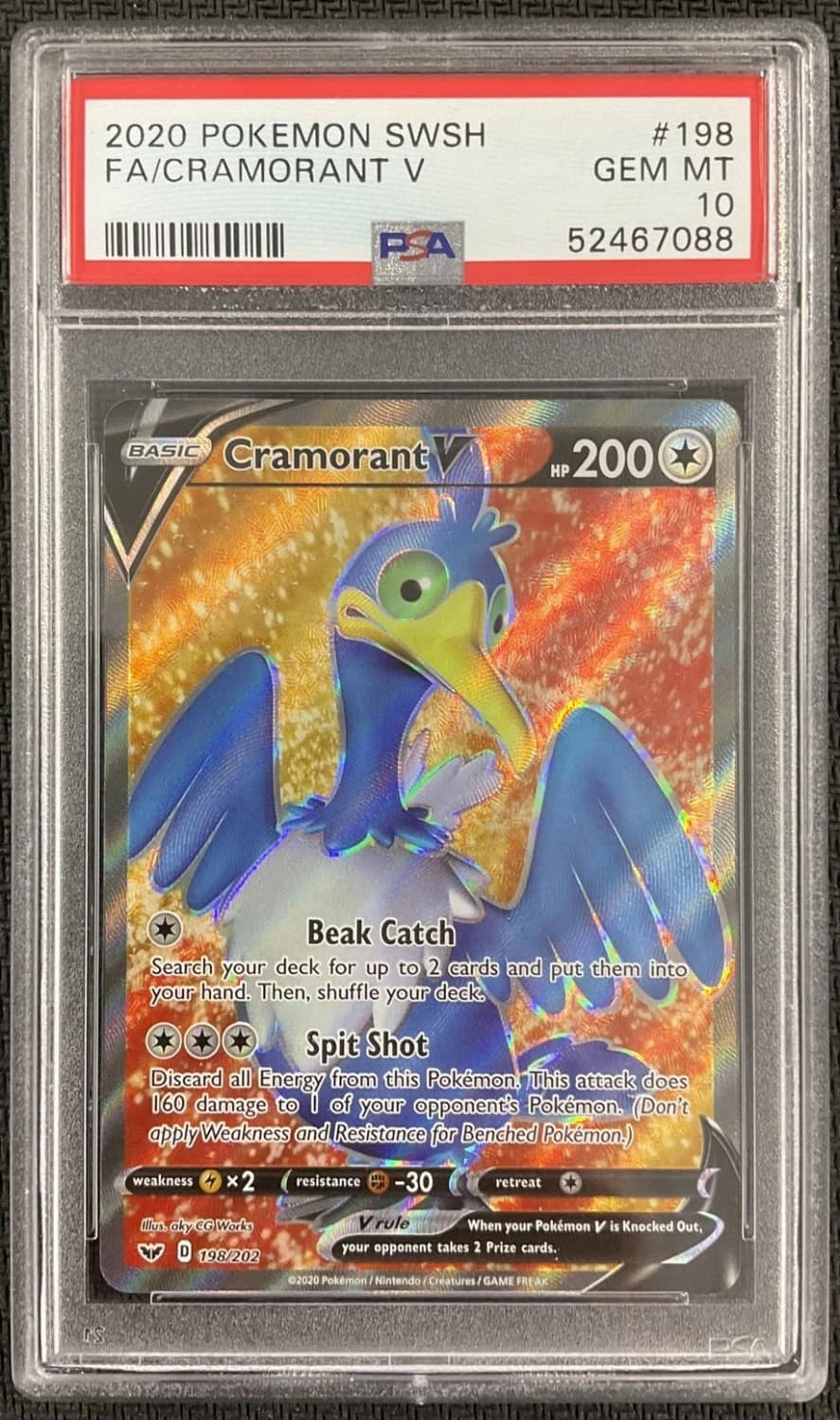Cramorant V