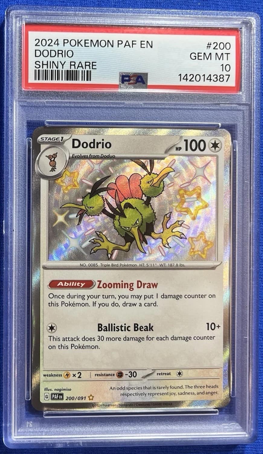 Dodrio
