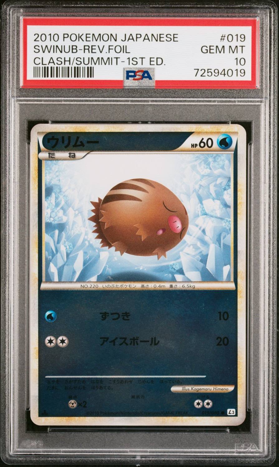 Swinub