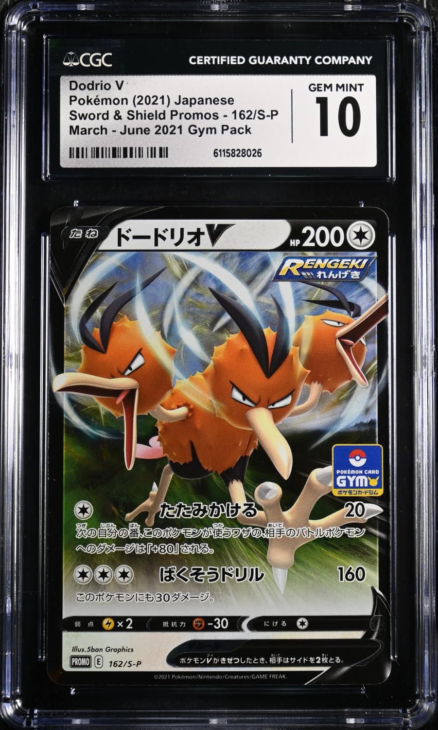 Dodrio V