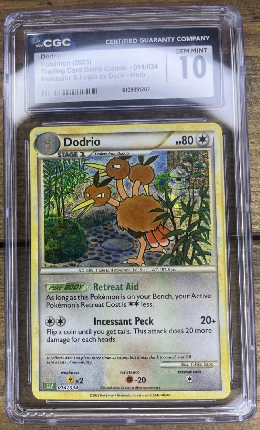 Dodrio