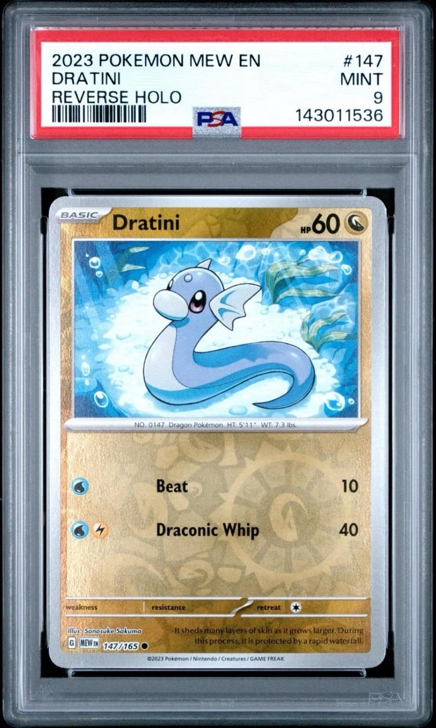 Dratini