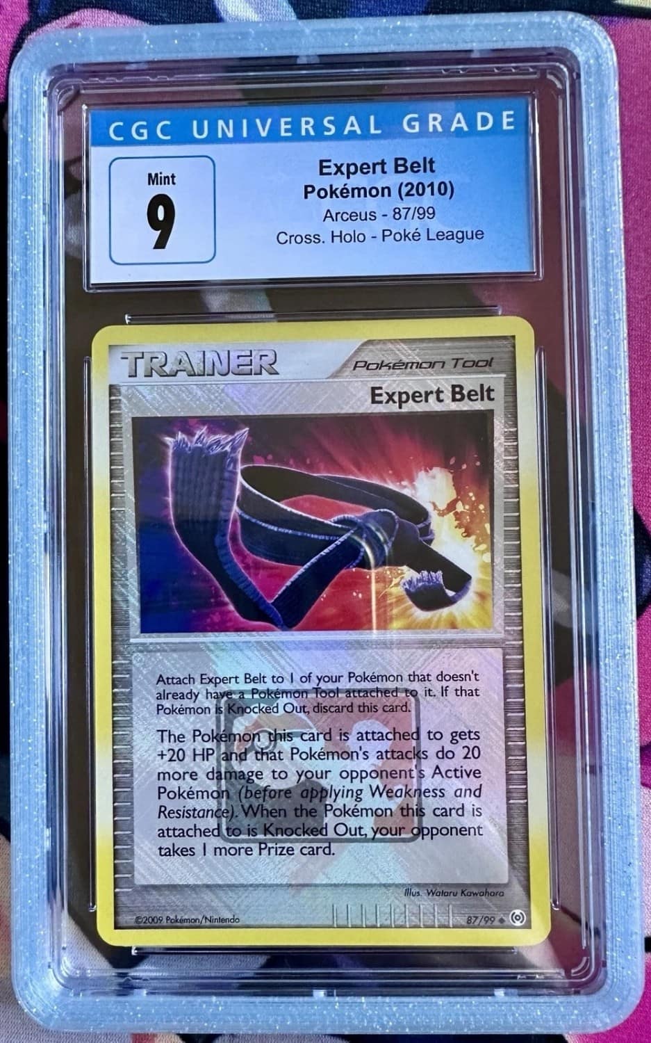 Expert Belt