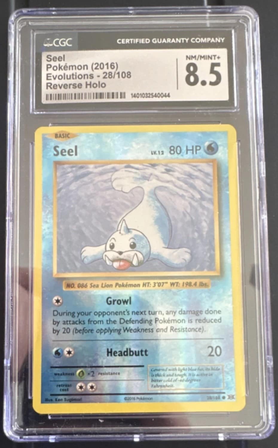 Seel