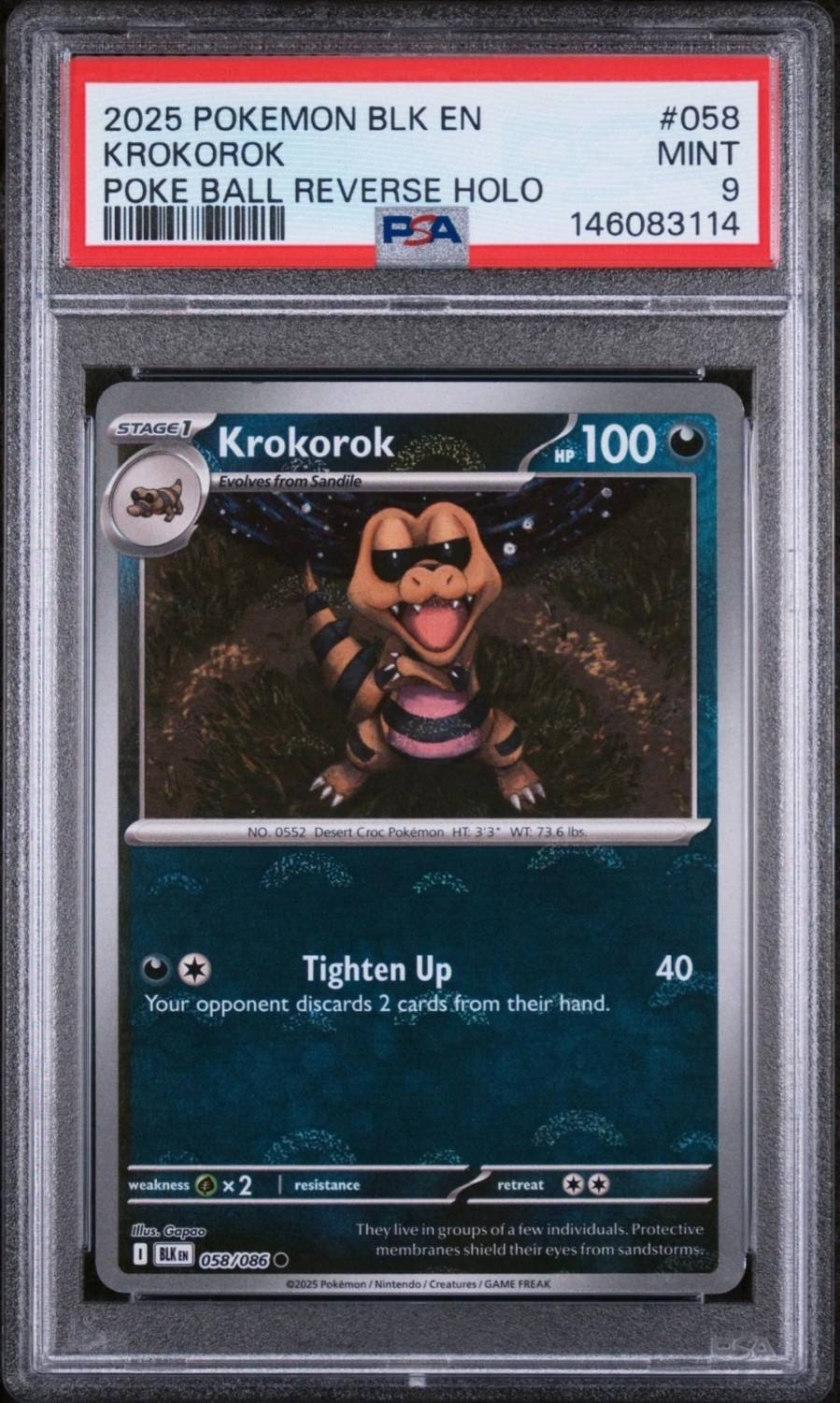Krokorok