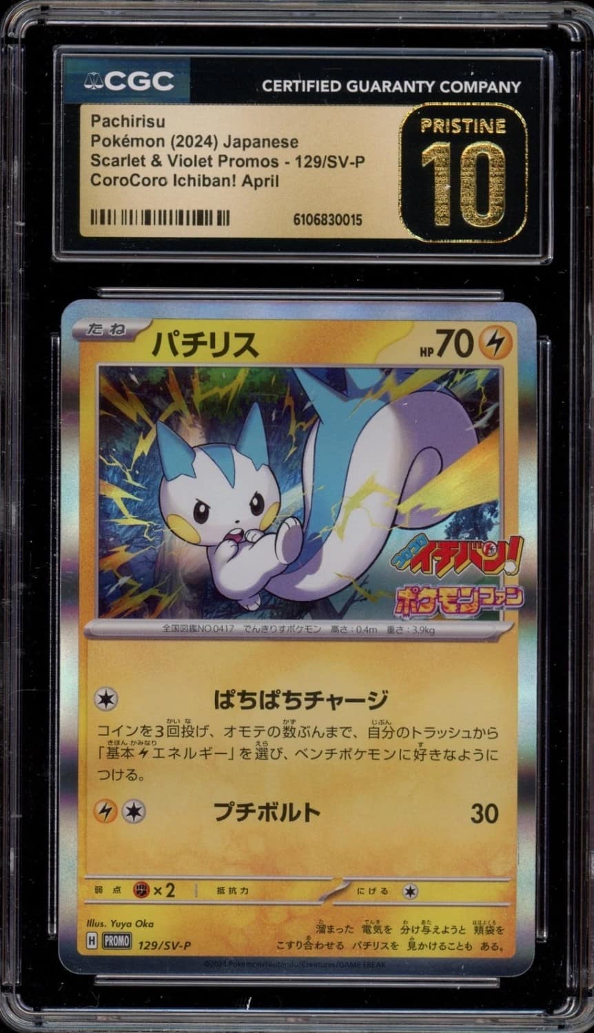Pachirisu