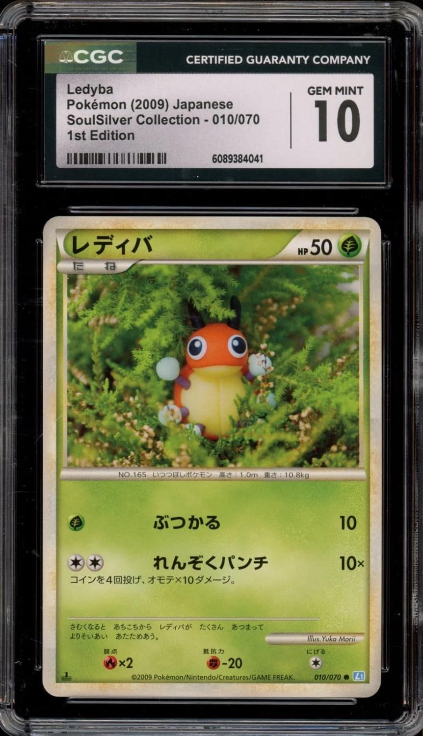 Ledyba