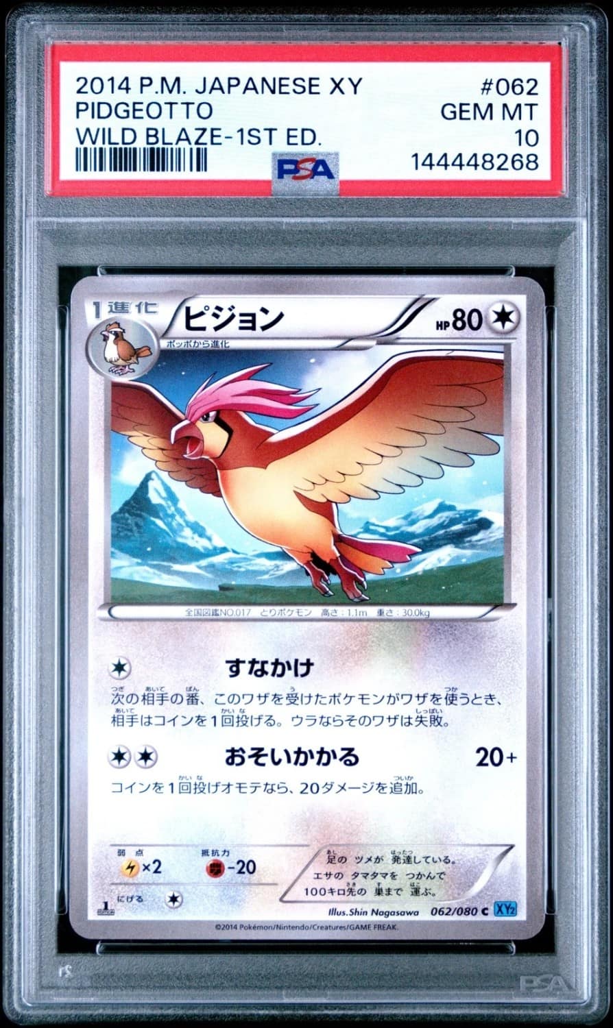 Pidgeotto