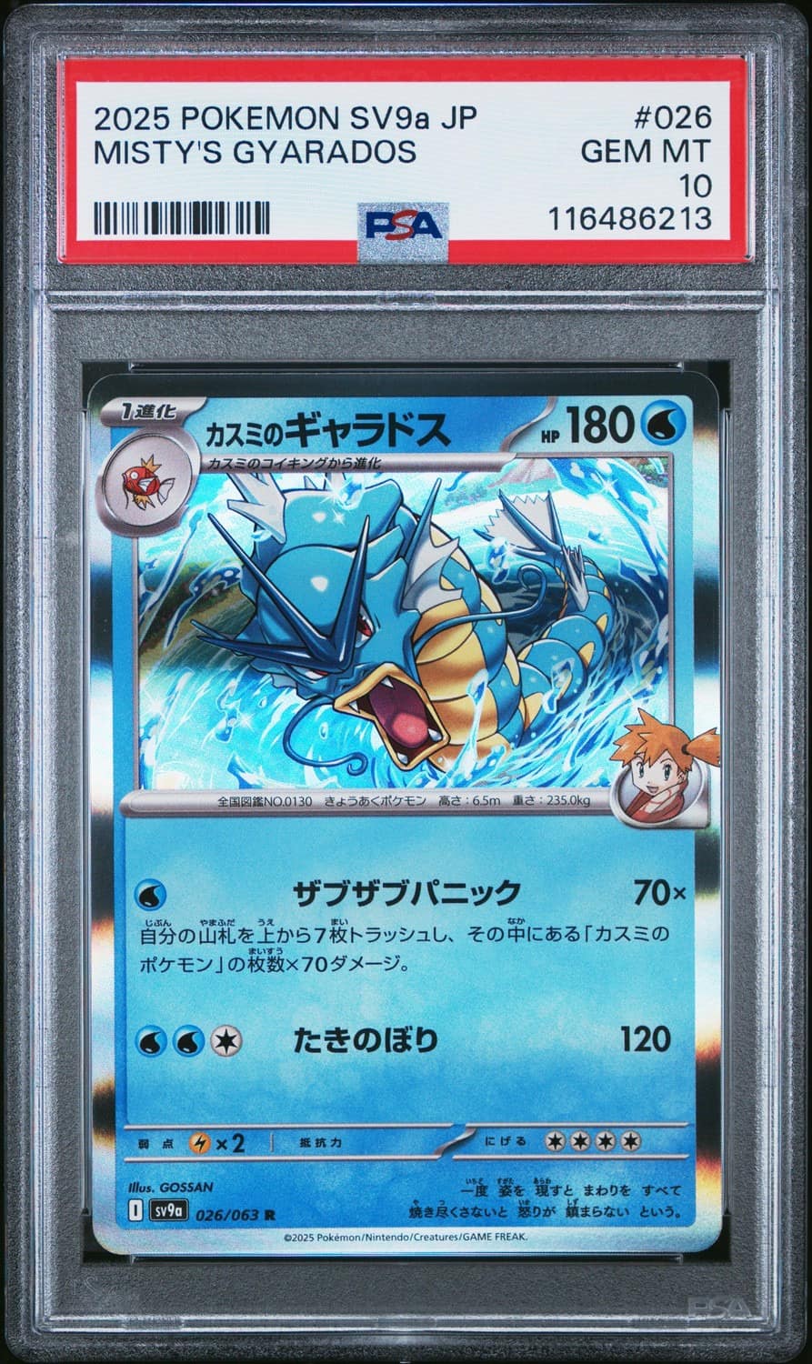 Misty'S Gyarados