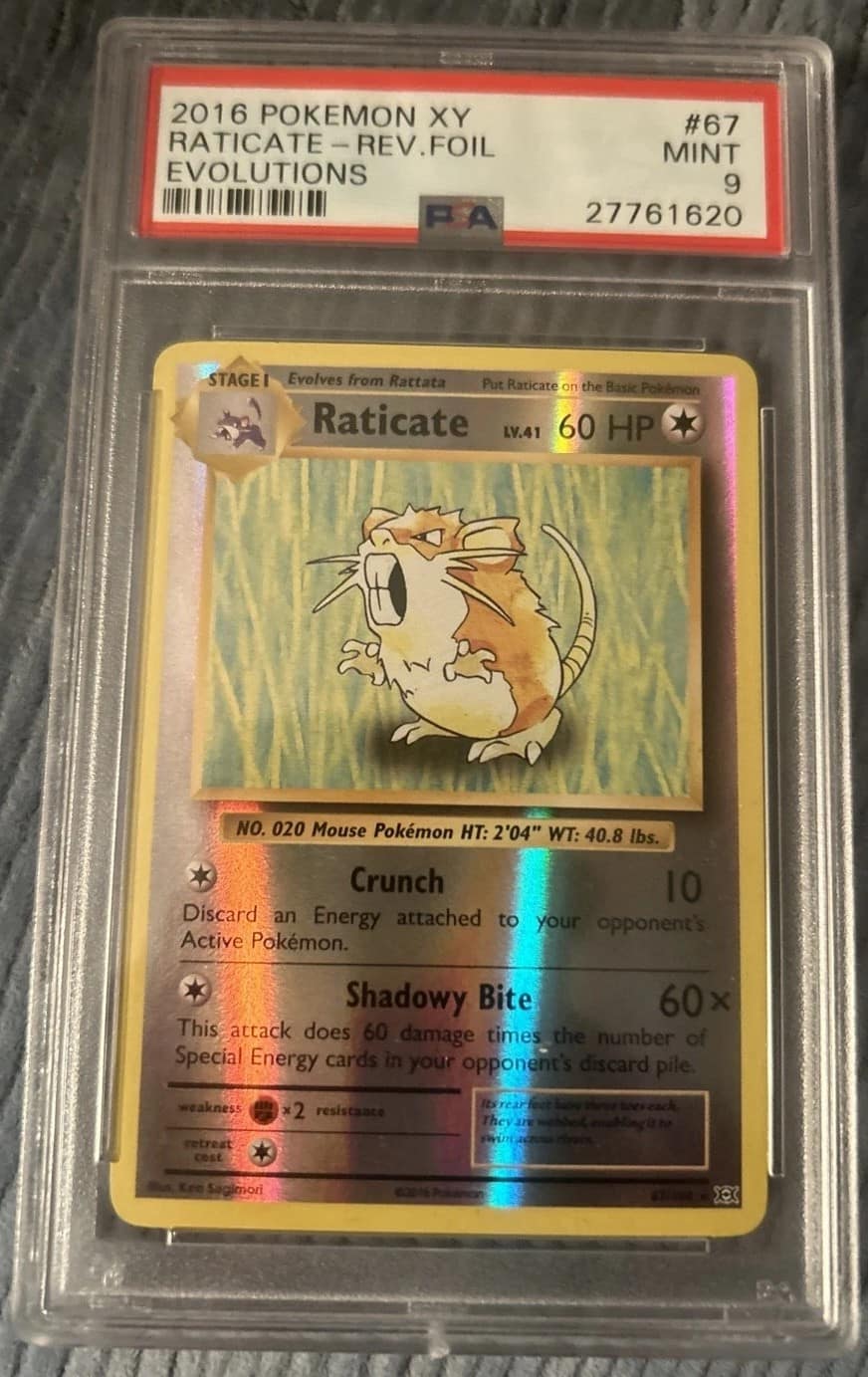 Raticate
