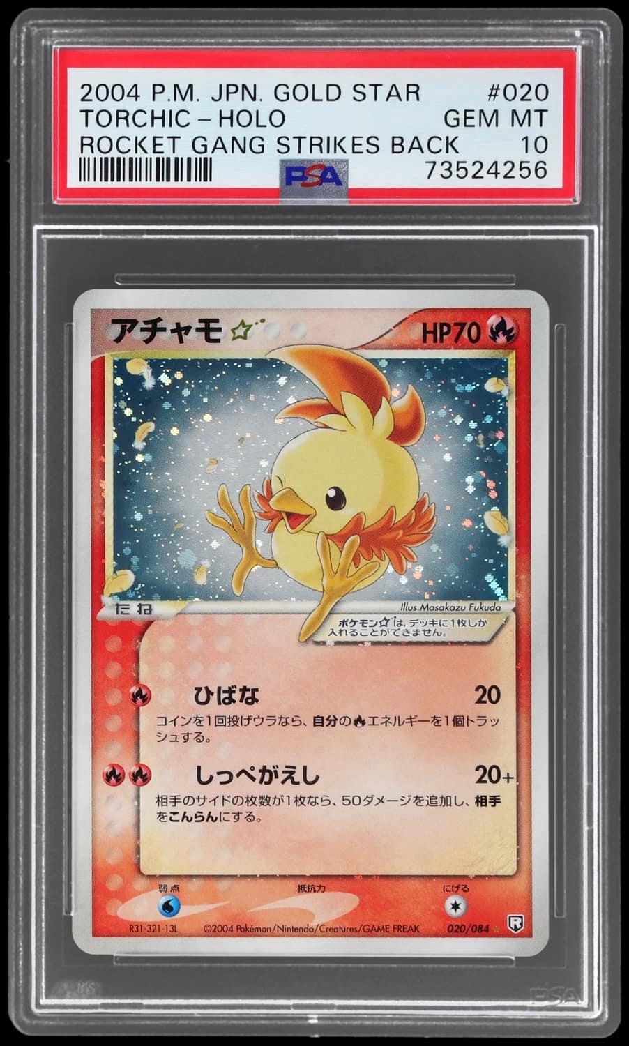 Torchic