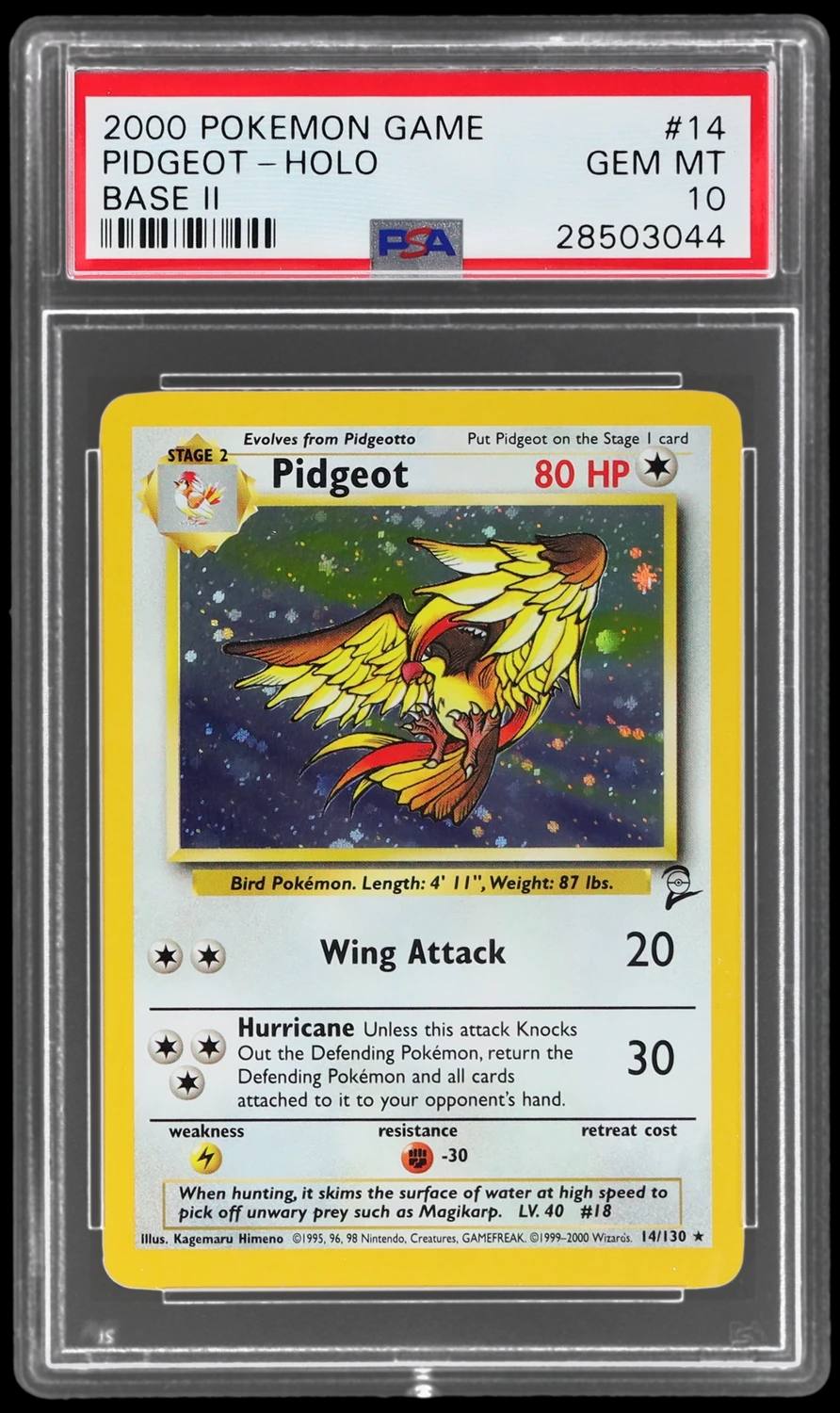 Pidgeot