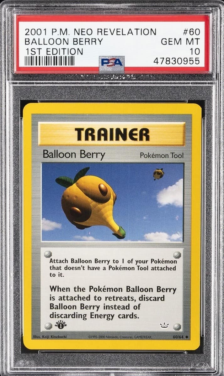 Balloon Berry