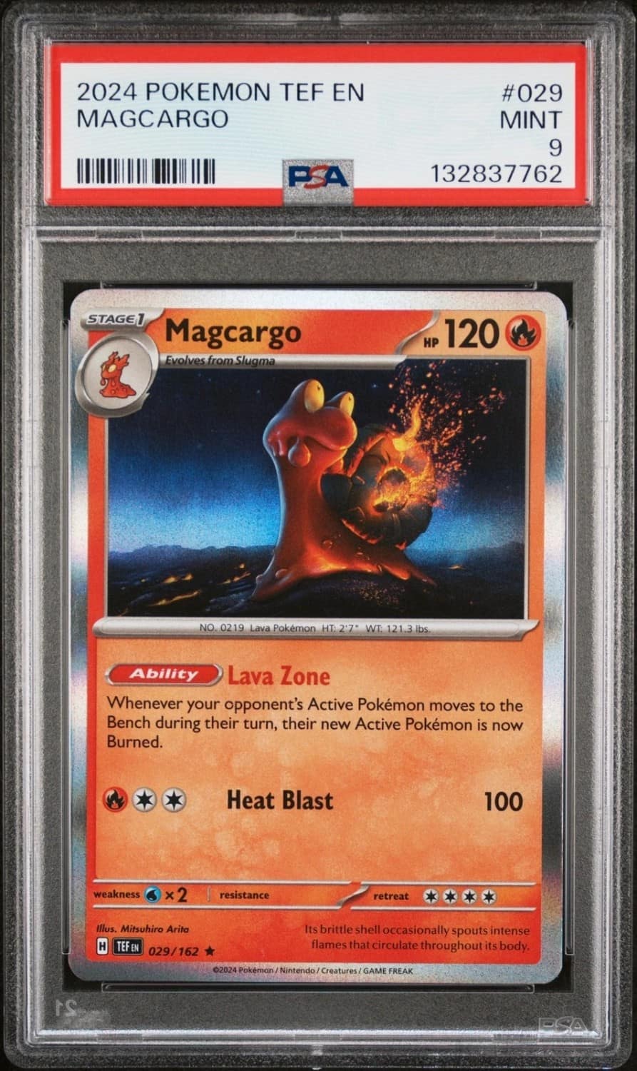 Magcargo