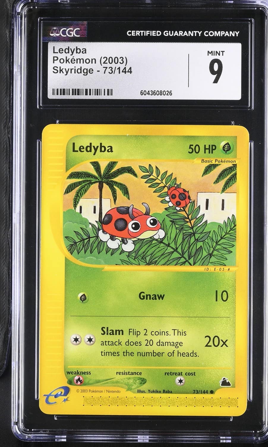 Ledyba