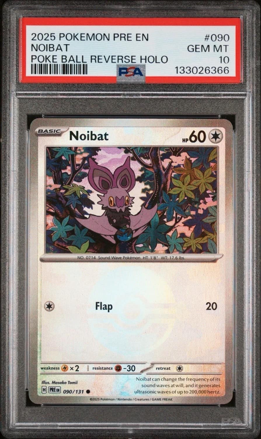 Noibat