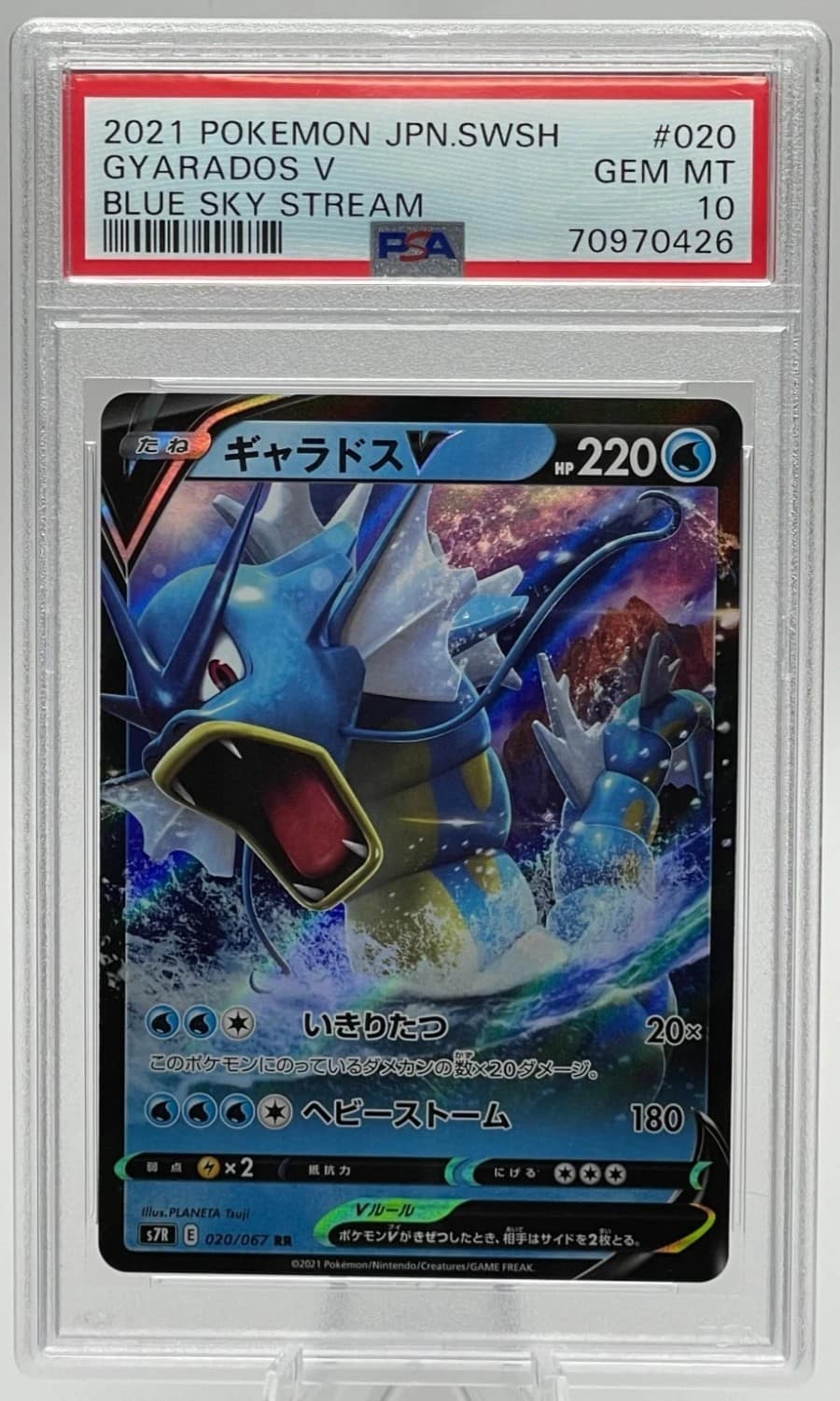 Gyarados V