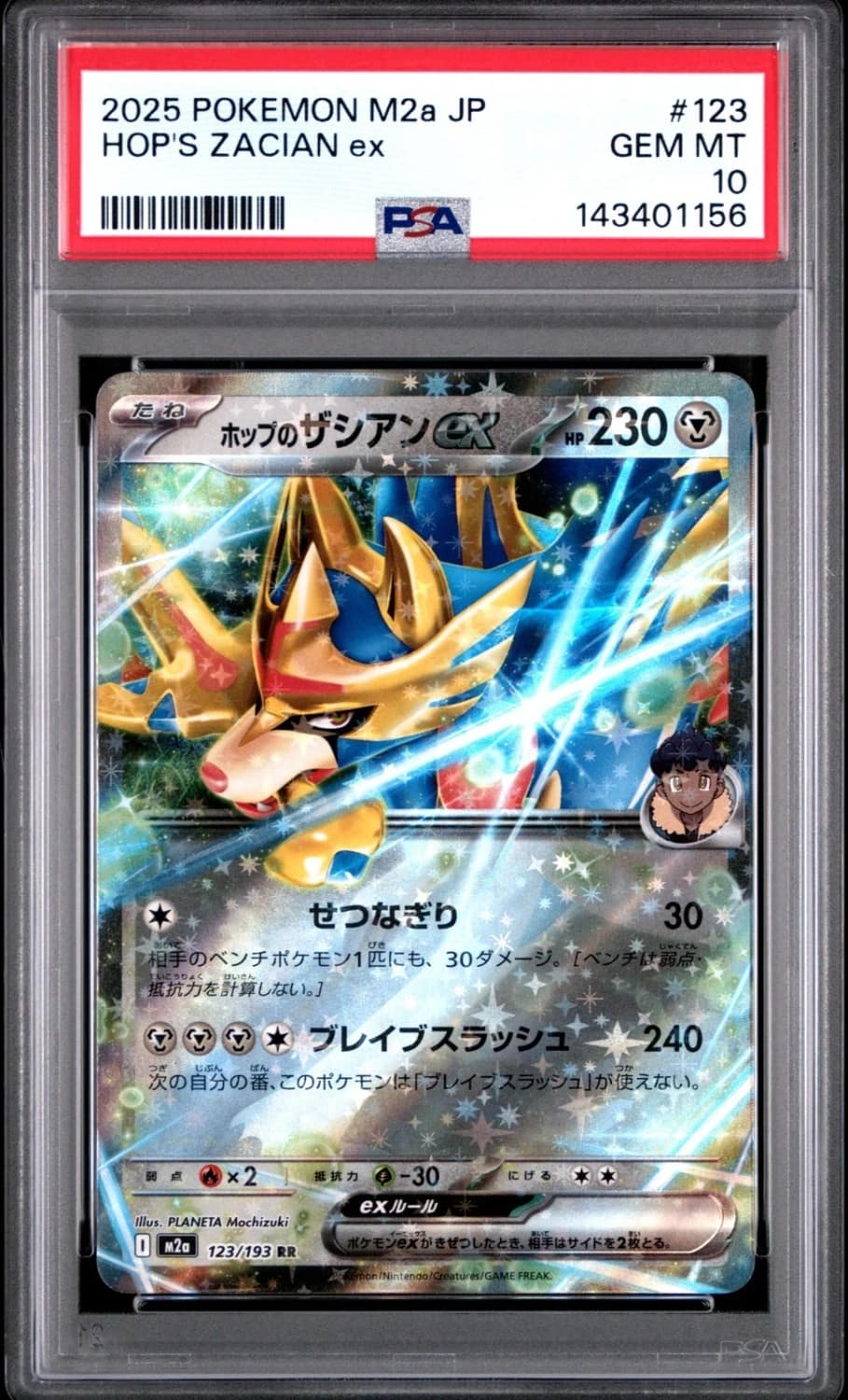 Hop'S Zacian Ex