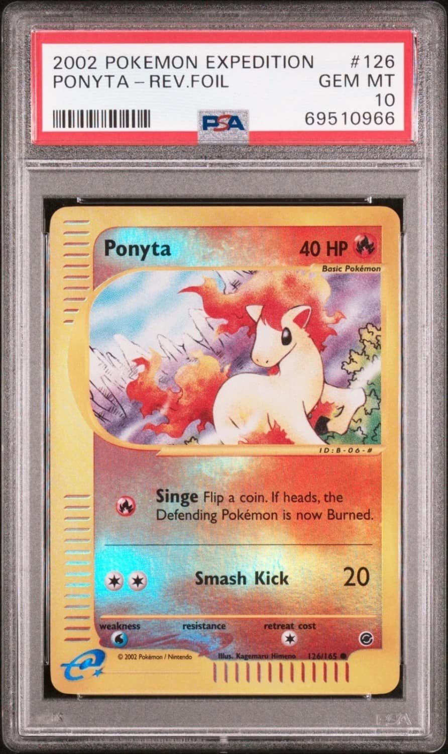 Ponyta