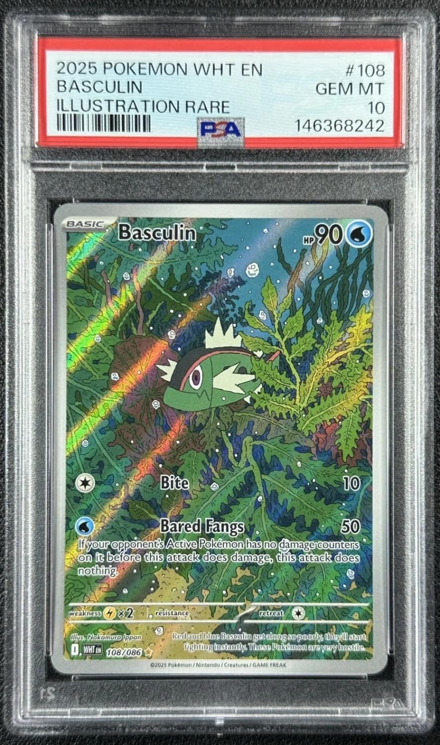 Basculin