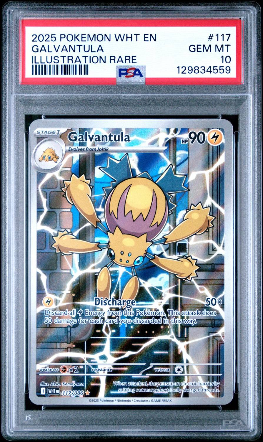 Galvantula