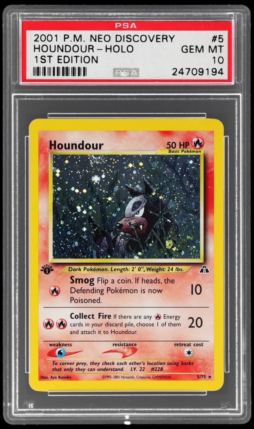 Houndour
