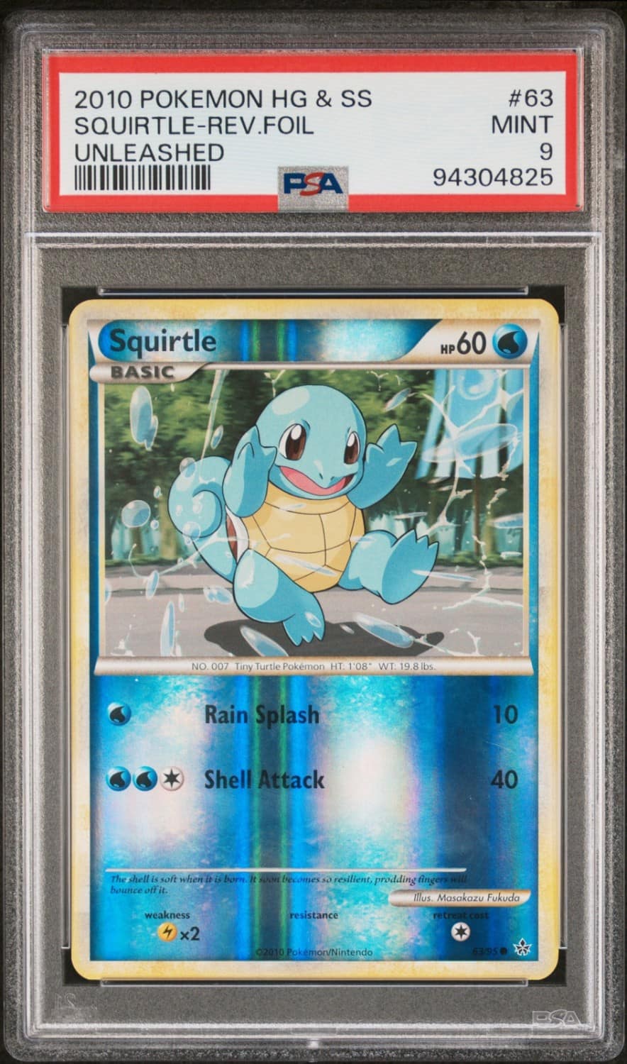 Squirtle