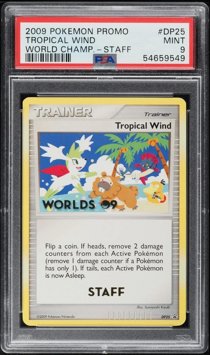 Tropical Wind
