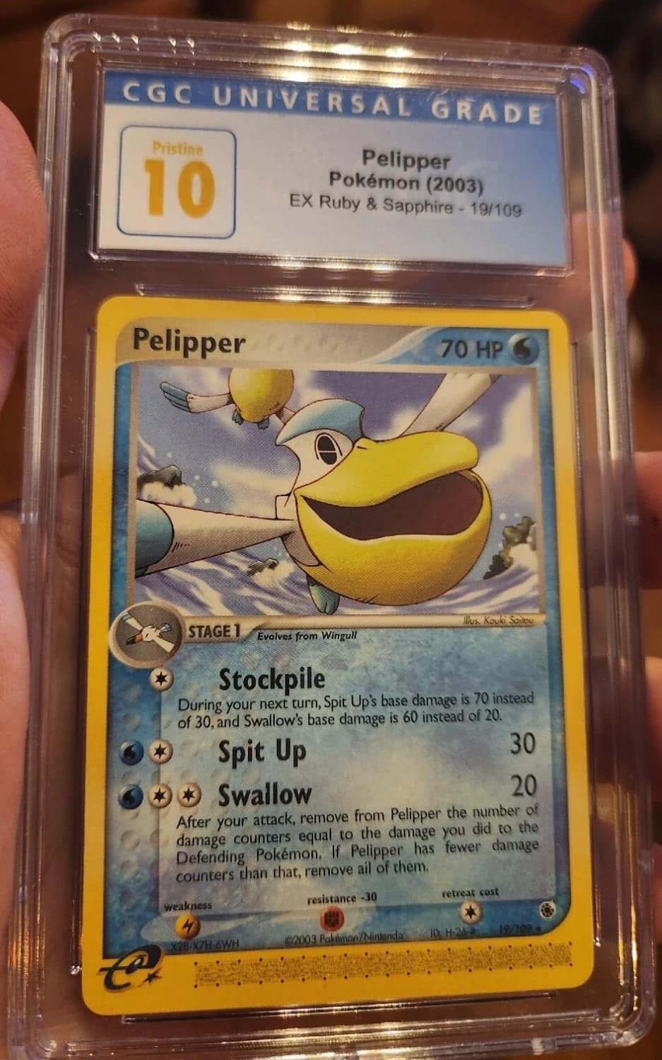 Pelipper