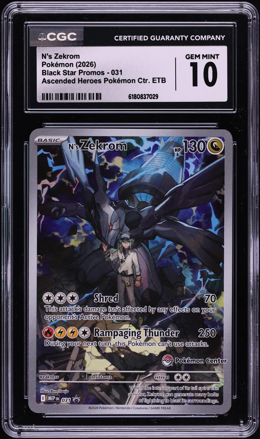 N'S Zekrom