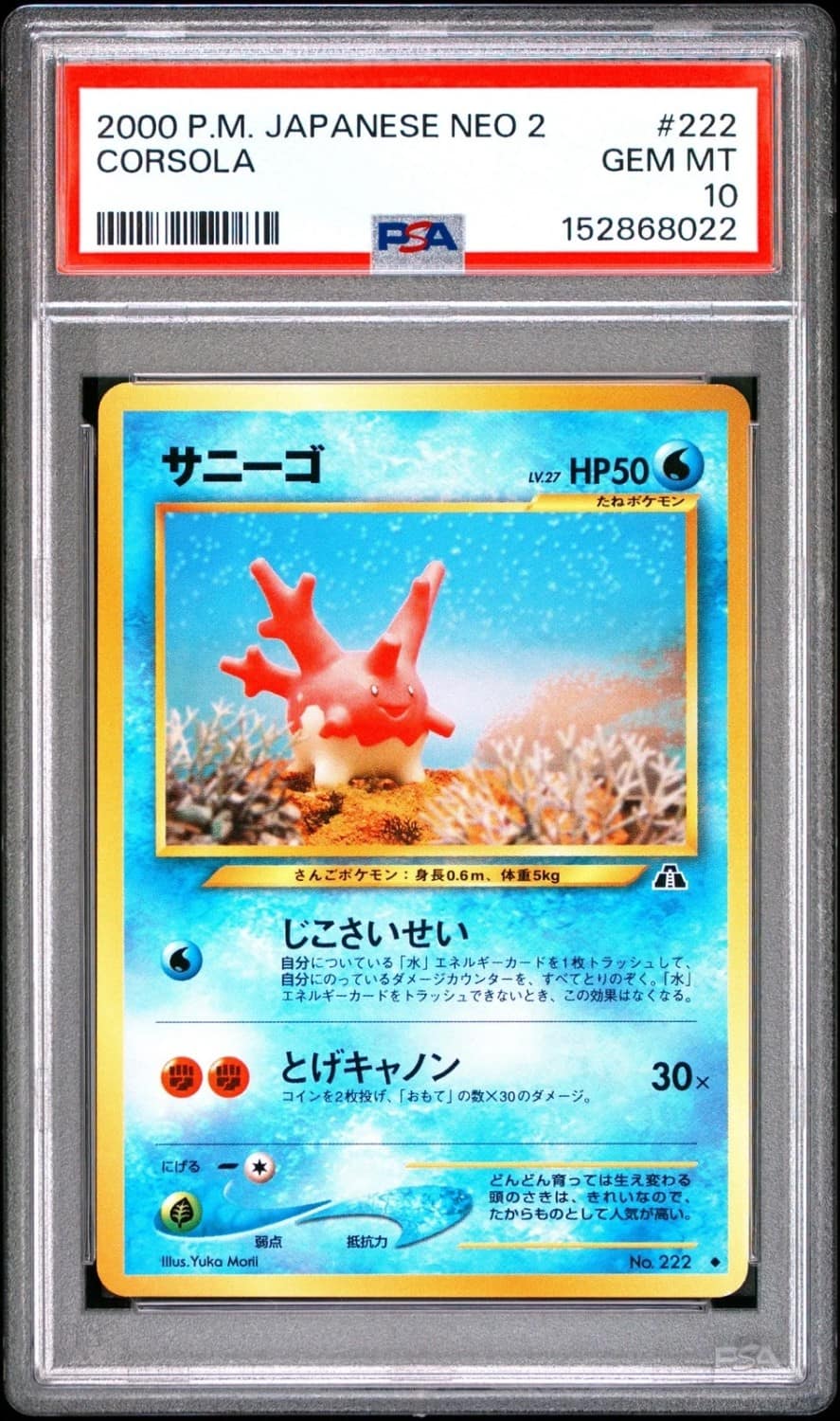 Corsola