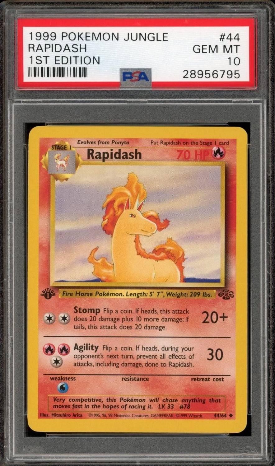 Rapidash