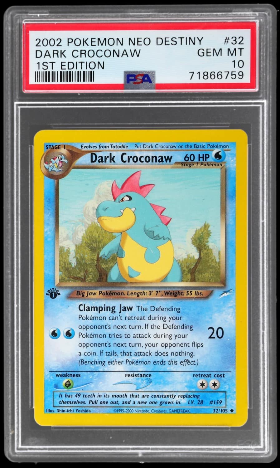 Dark Croconaw