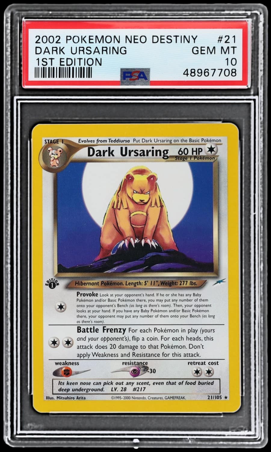 Dark Ursaring