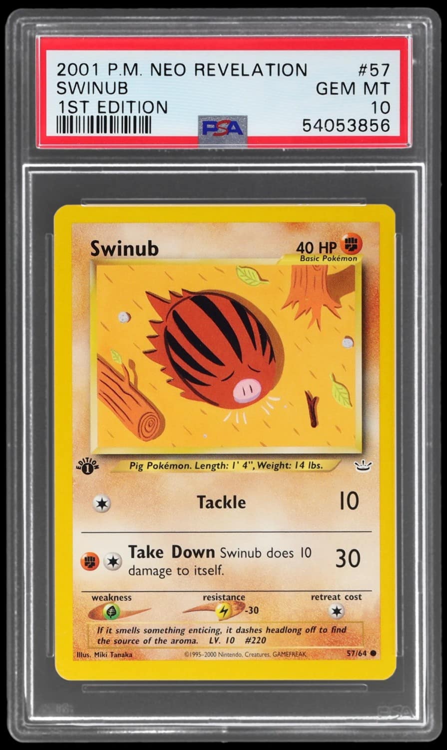 Swinub