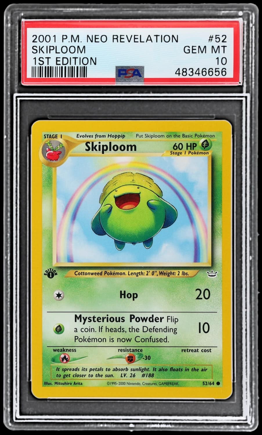 Skiploom