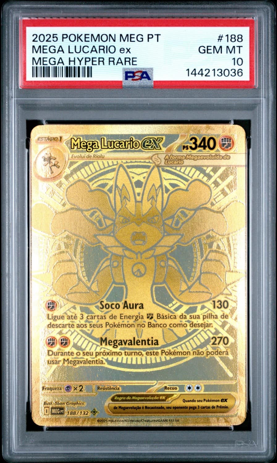 Mega Lucario Ex
