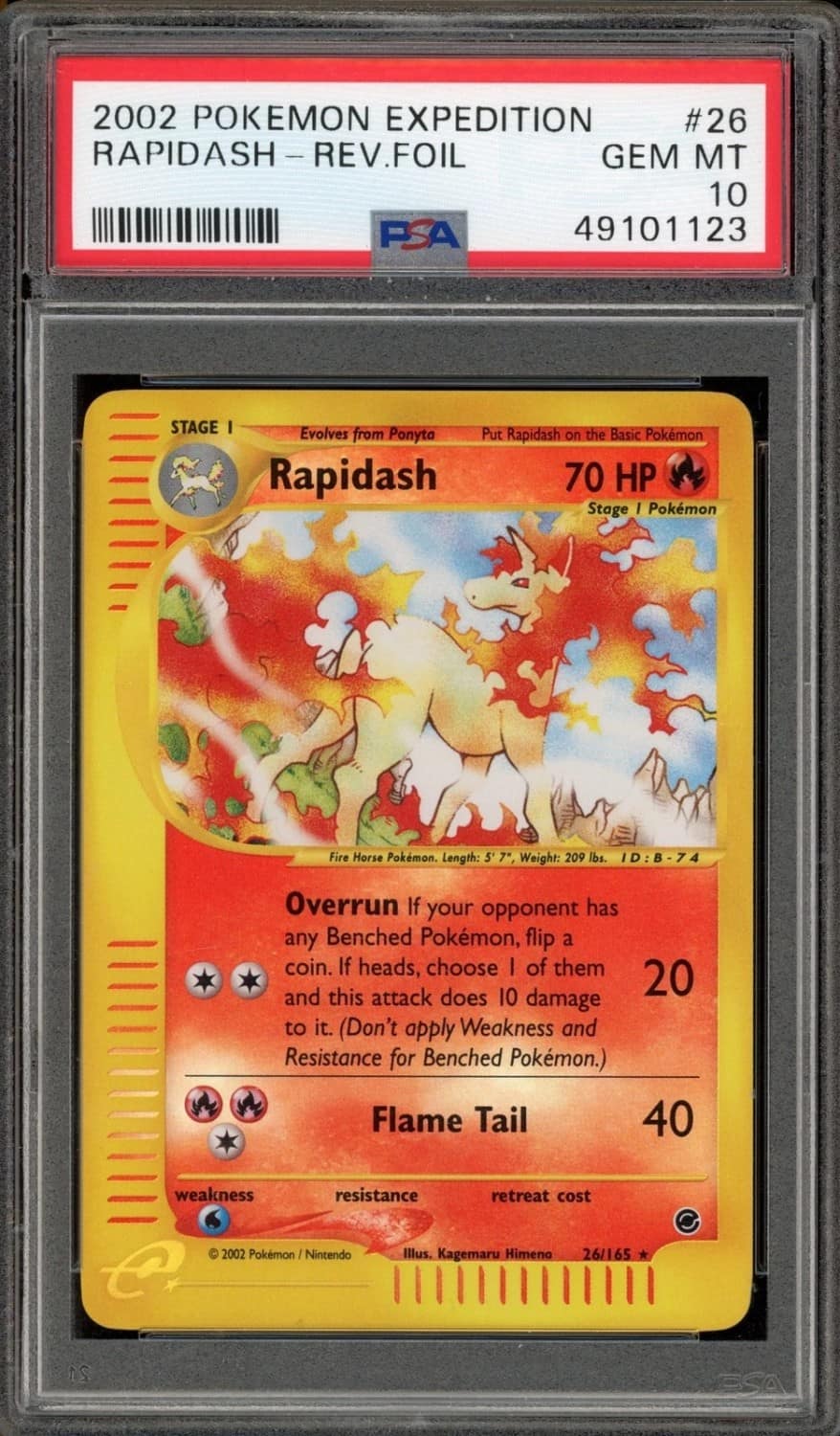 Rapidash
