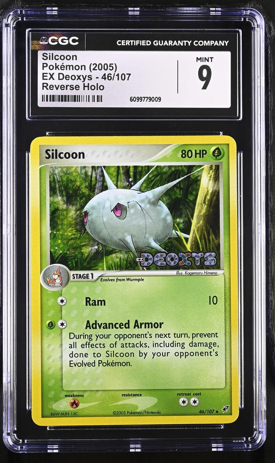 Silcoon