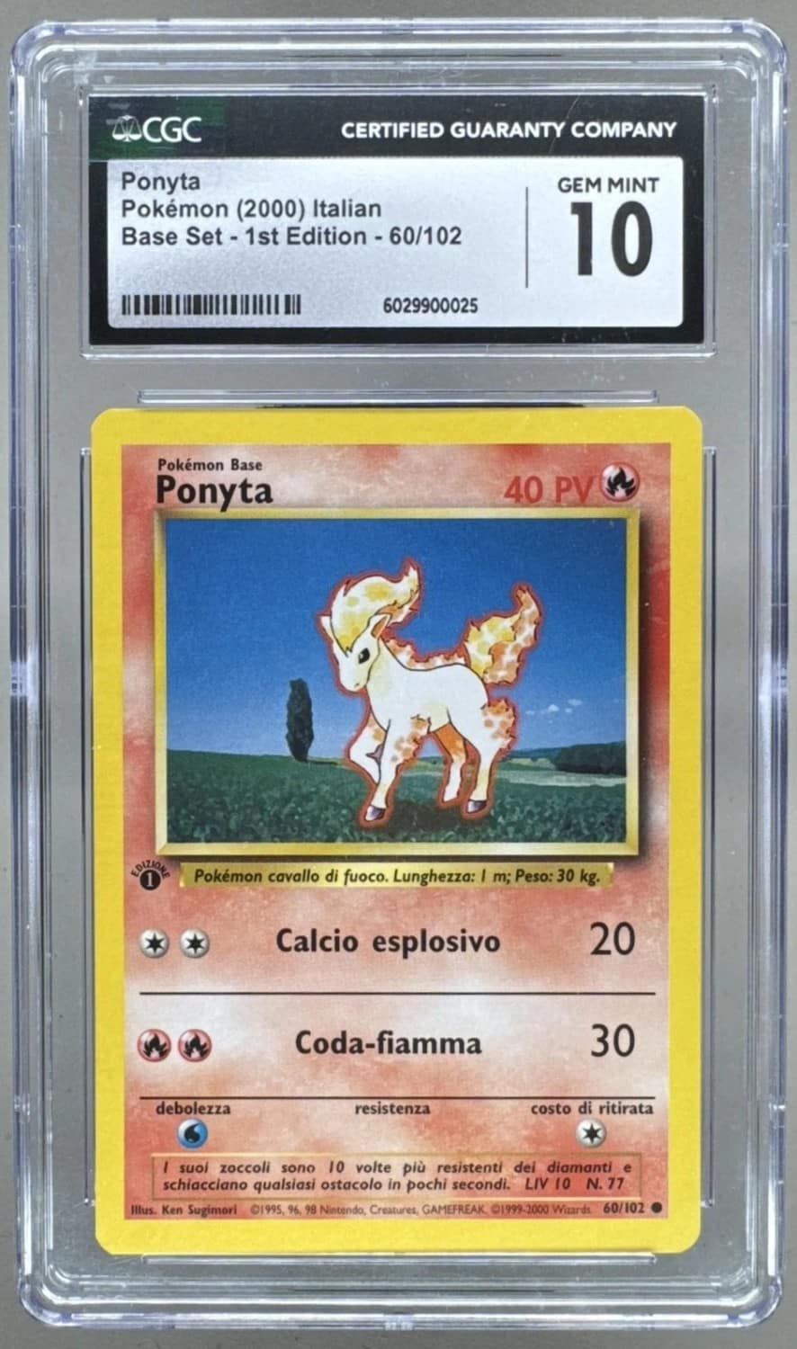 Ponyta