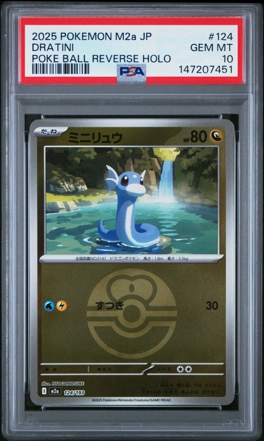 Dratini