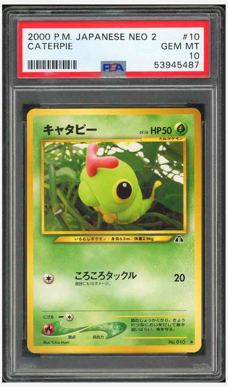 Caterpie