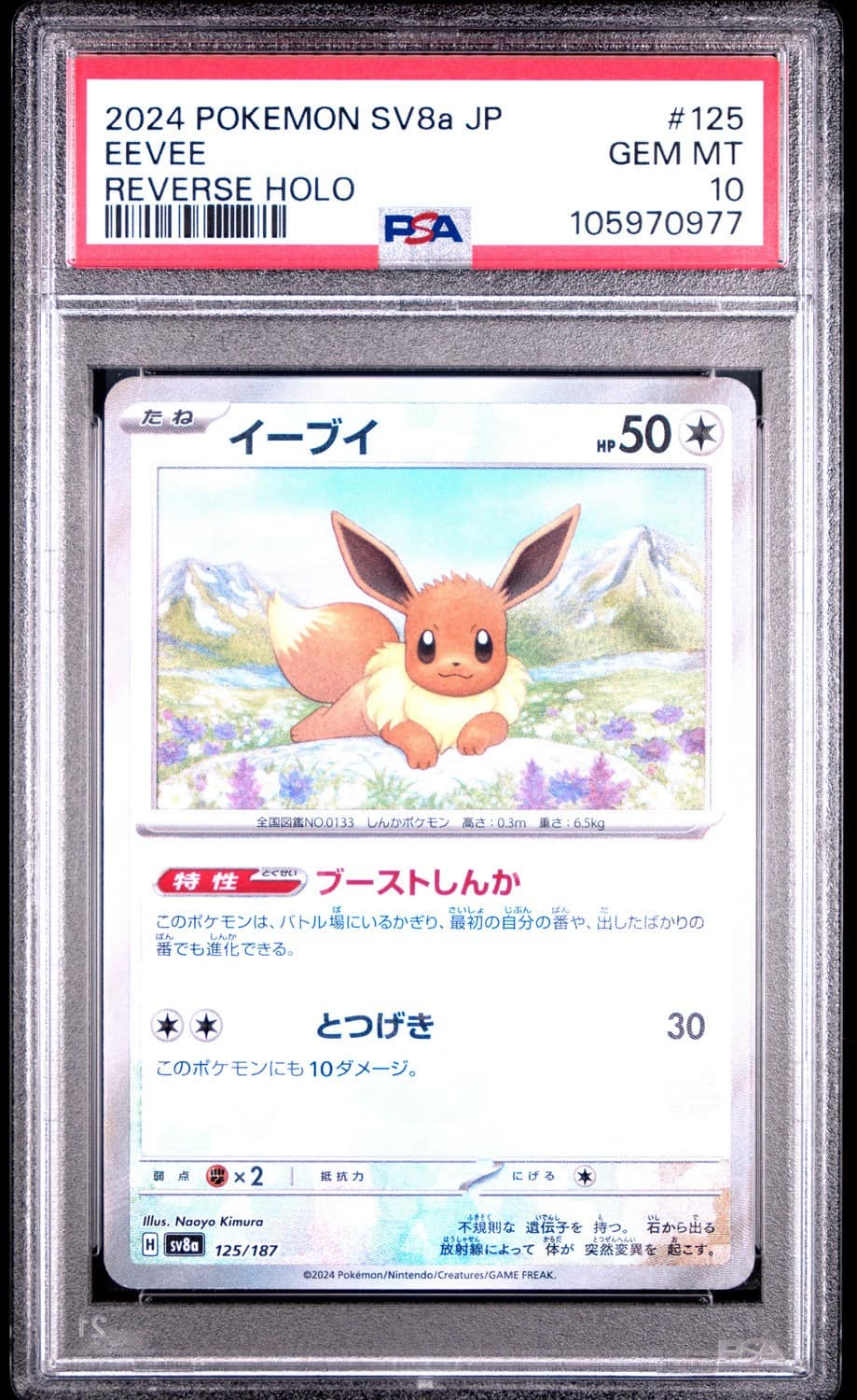Eevee