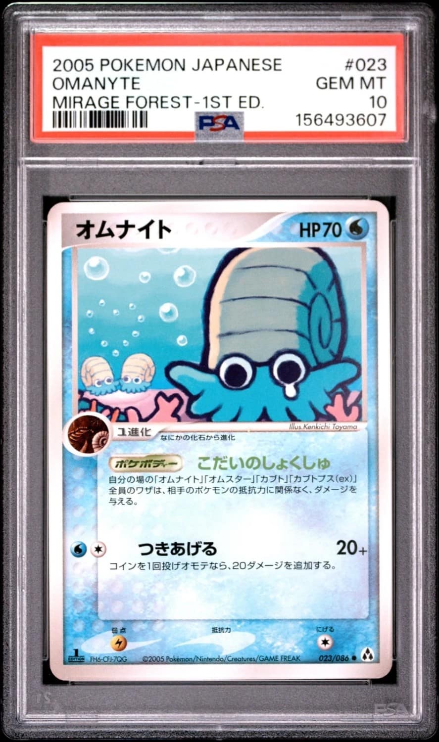Omanyte