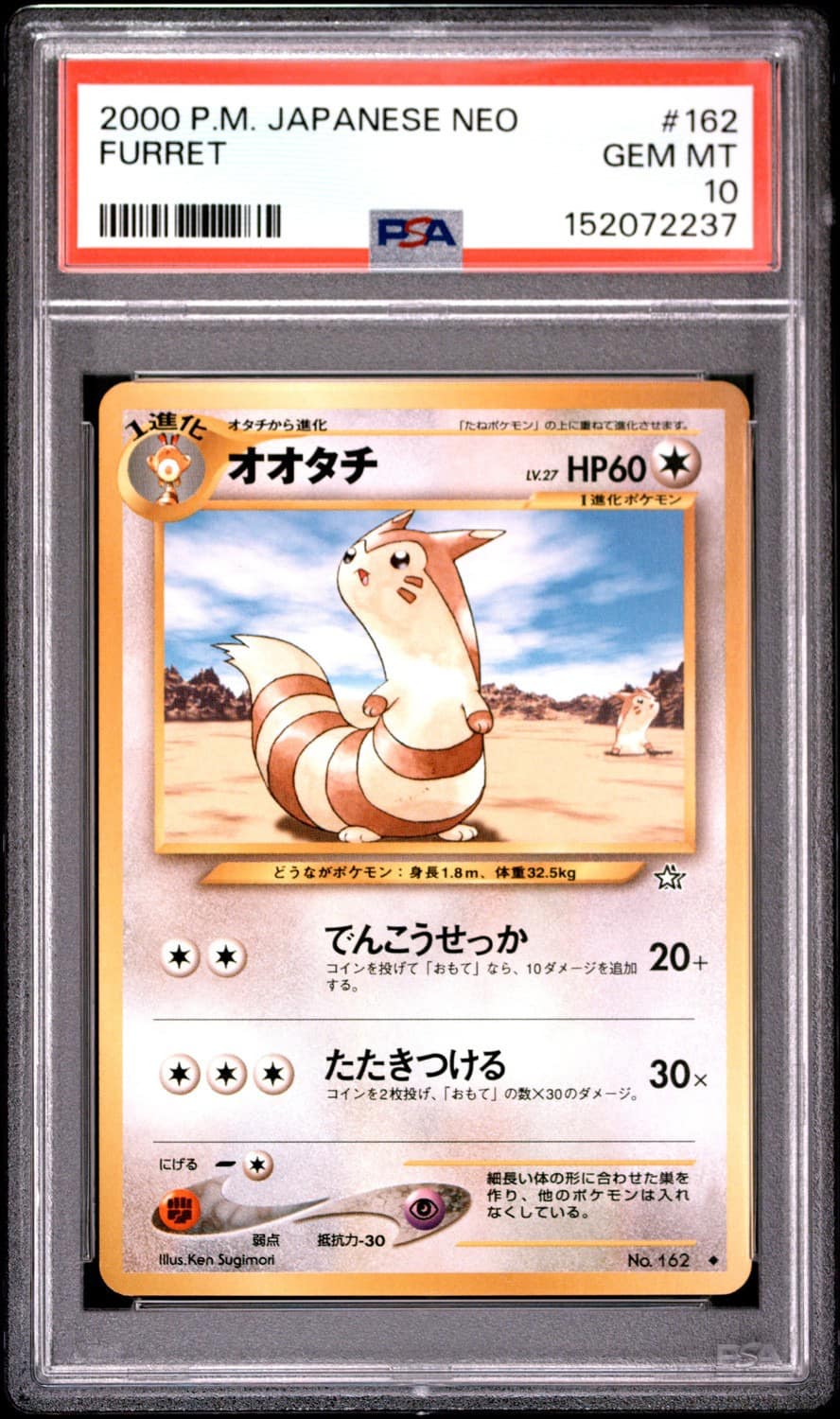 Furret