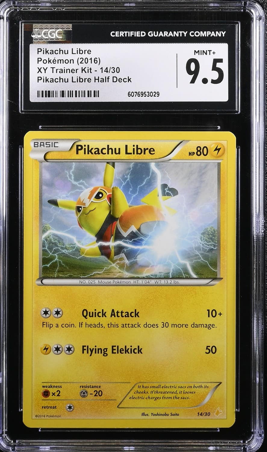 Pikachu Libre