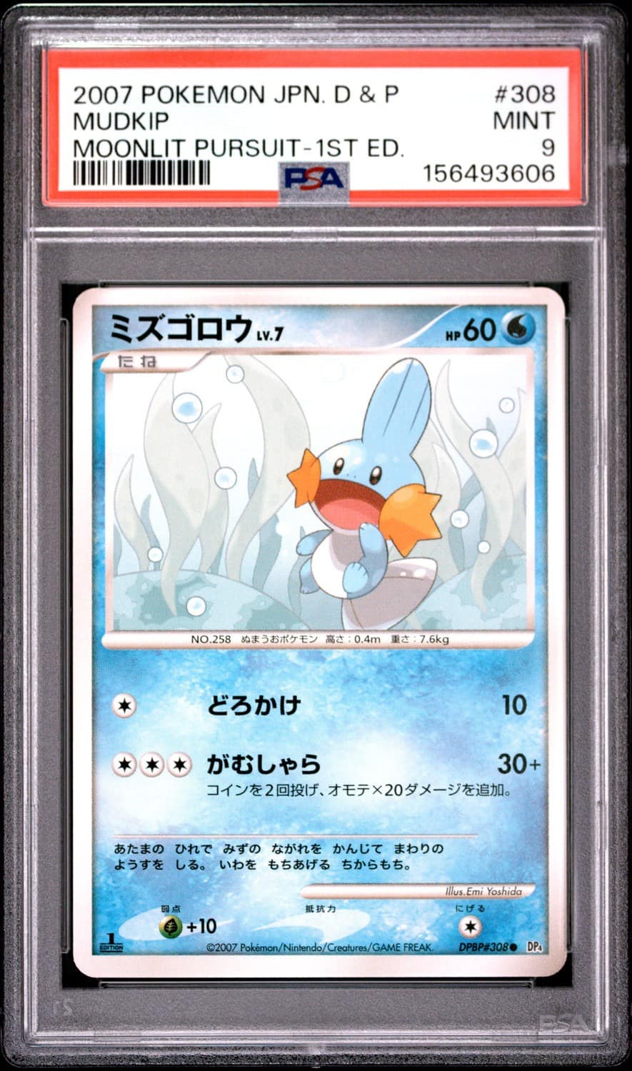 Mudkip