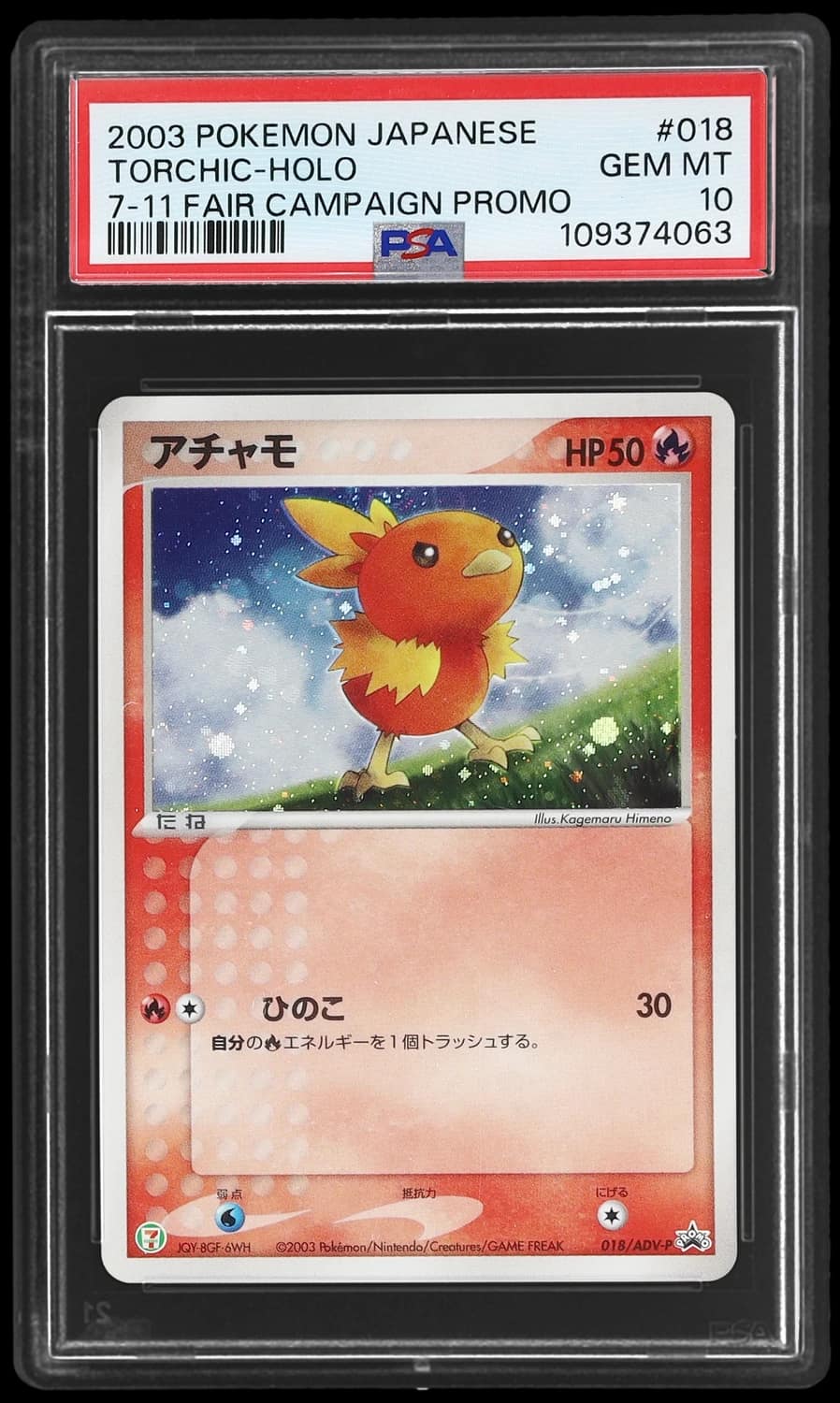 Torchic