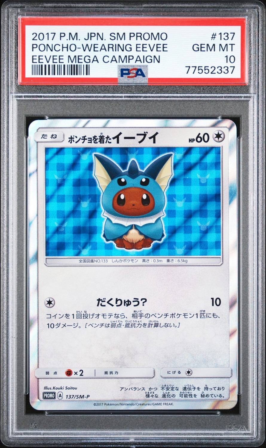 Poncho-Wearing Eevee